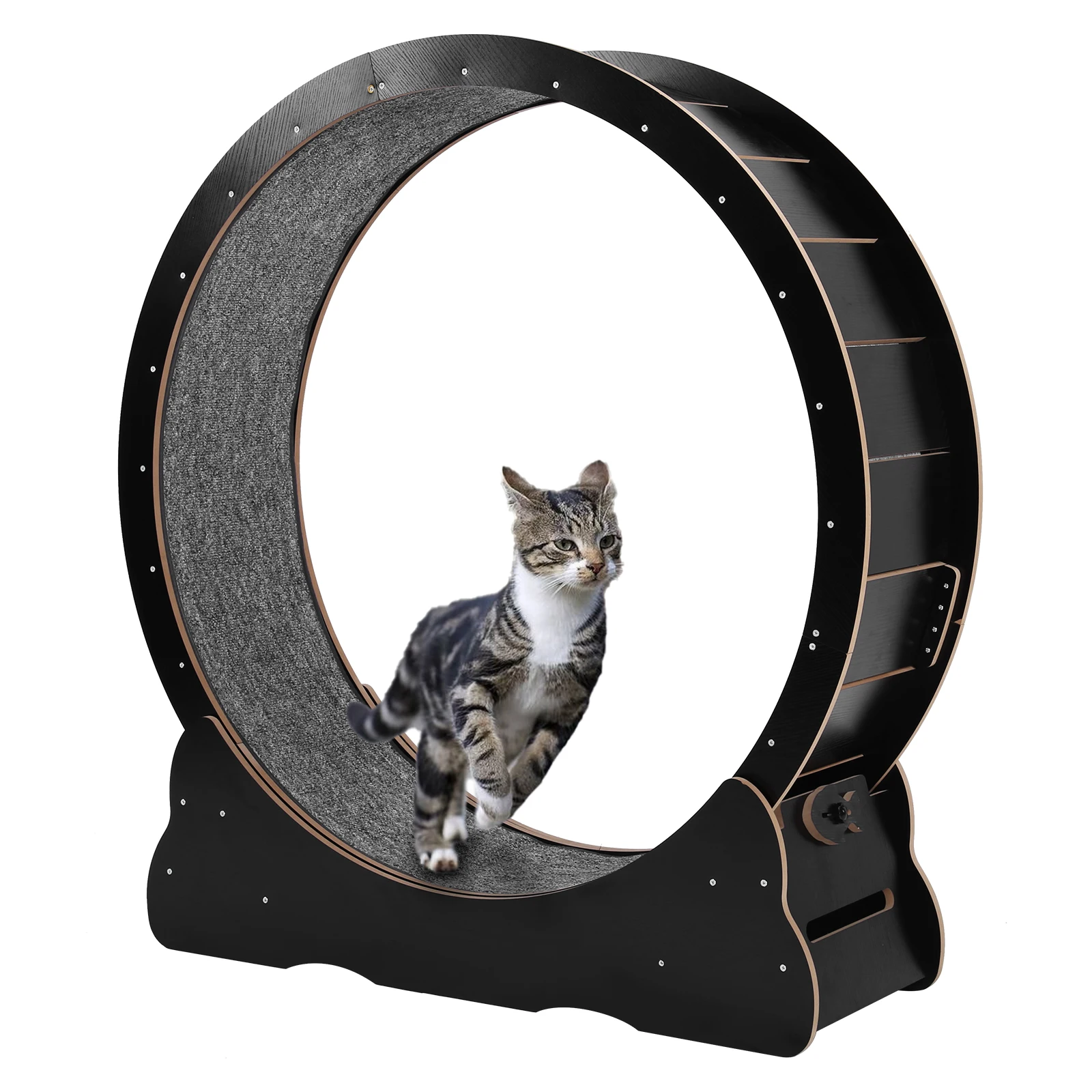 Cat Exercise Running Wheel - Image 6