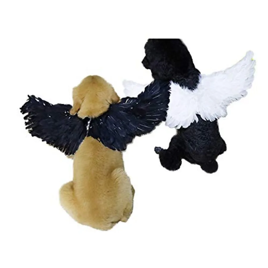 Angel Devil Pet Wings - Image 2
