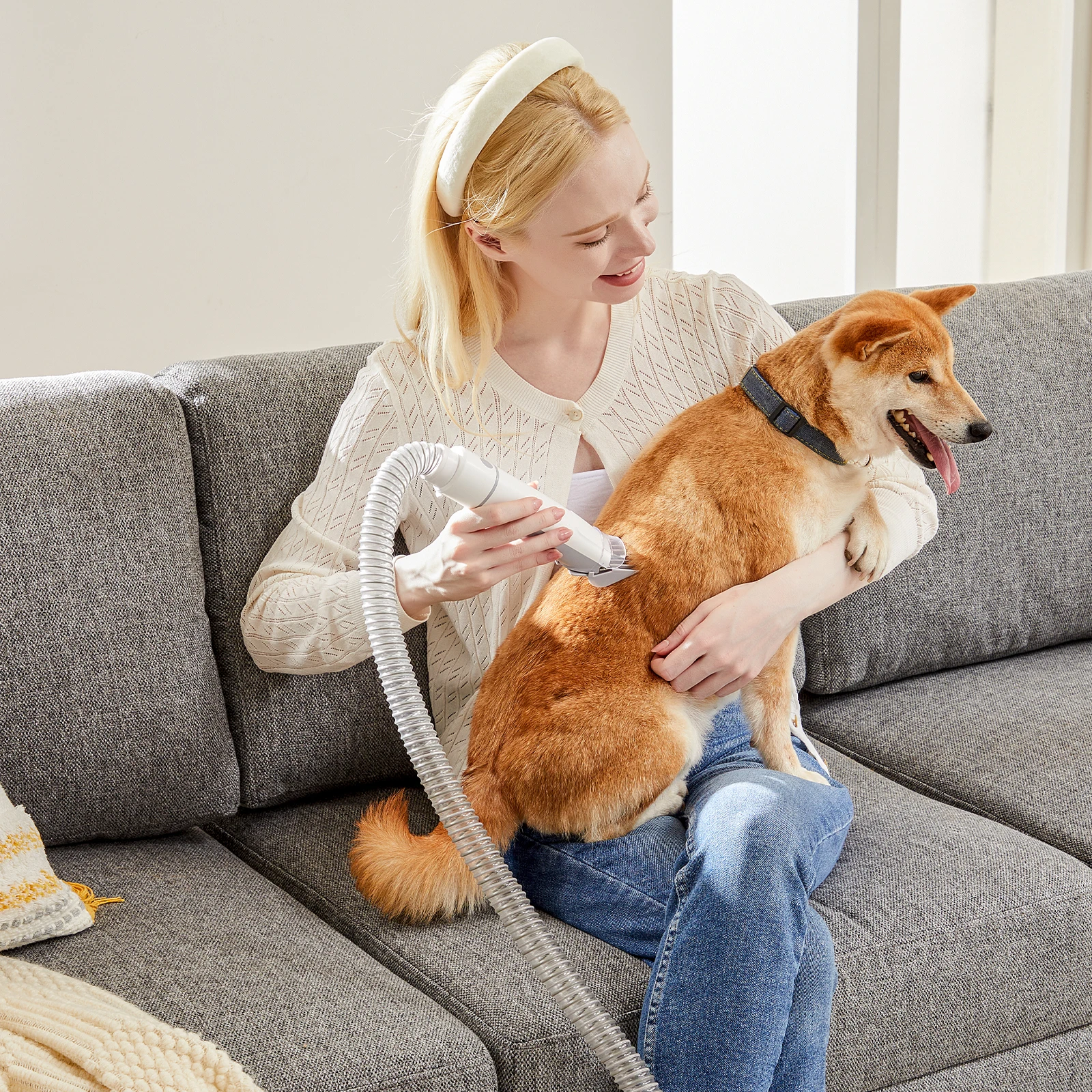 Professional Pet Grooming Kit - Image 2