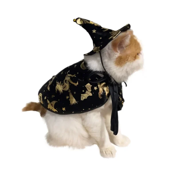 Wizard or Witch Pet Costume