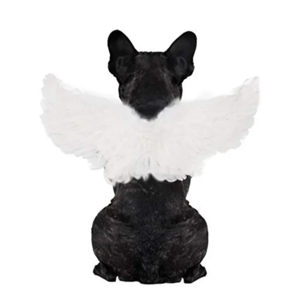Pet Angel Wings Costume