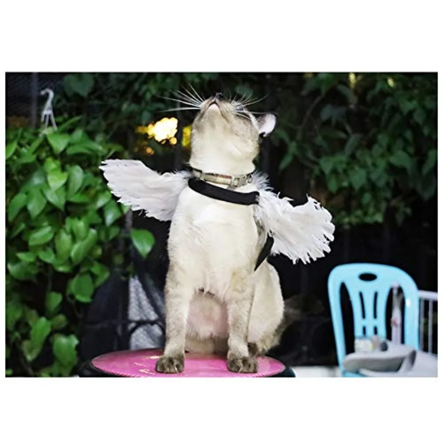 Angel Devil Pet Wings - Image 3