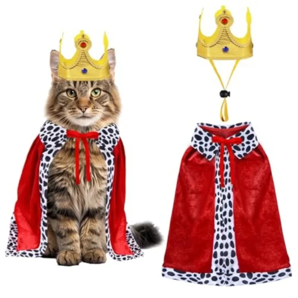 Pet King Costume Set