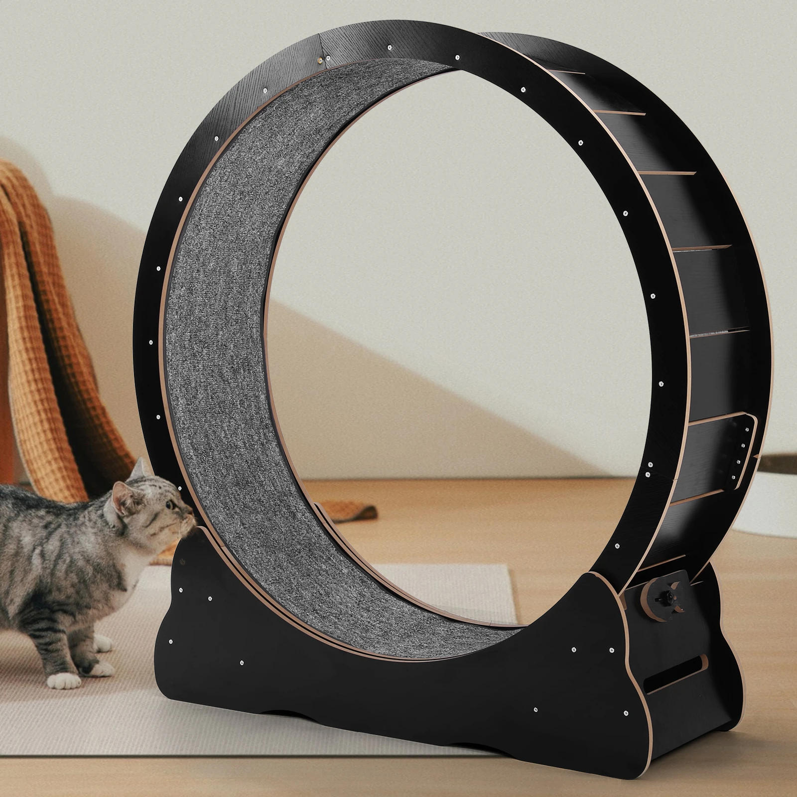Cat Exercise Running Wheel - Image 2