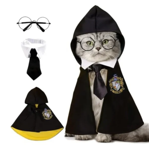 Pet Wizard Costume Set
