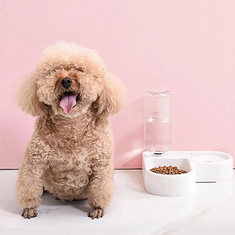 Automatic Pet Feeder Bowl - Image 12