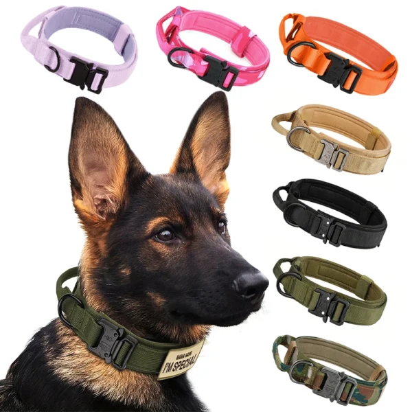 Adjustable Dog Collar
