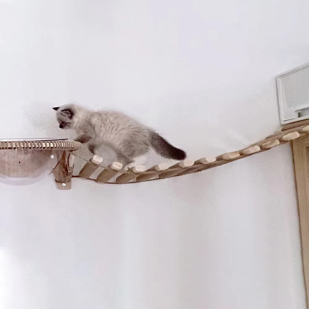 Cat Bridge Ladder - Image 2