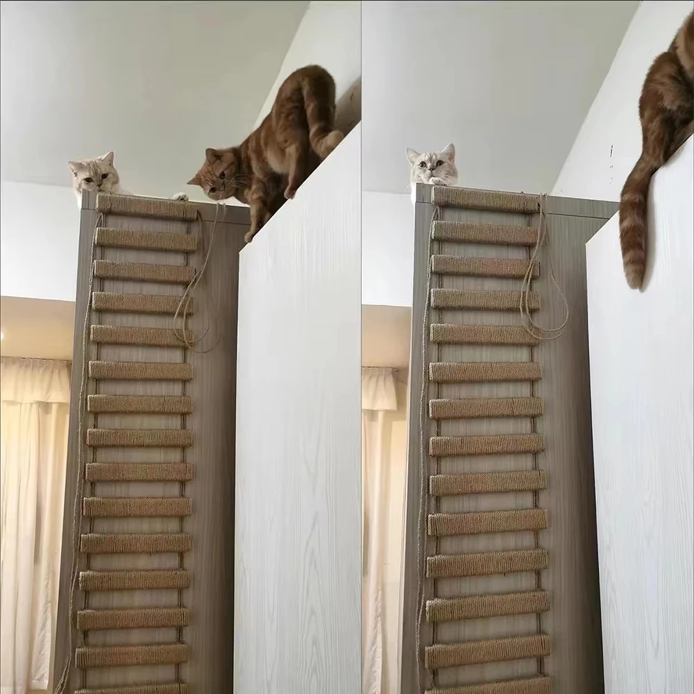 Cat Bridge Ladder - Image 4