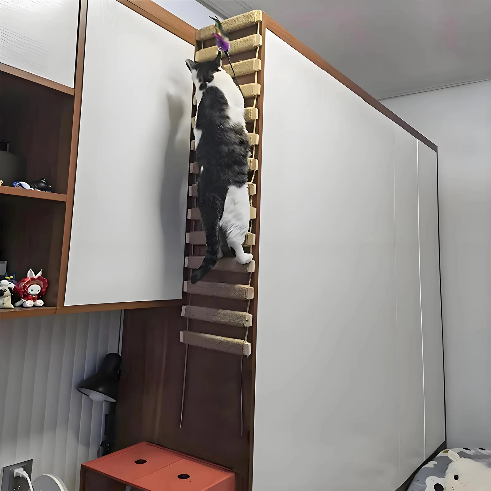 Cat Bridge Ladder