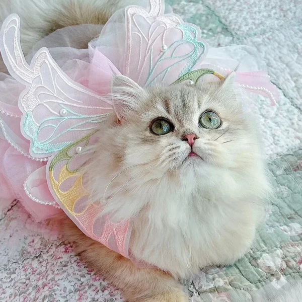 Princess Pet Dress