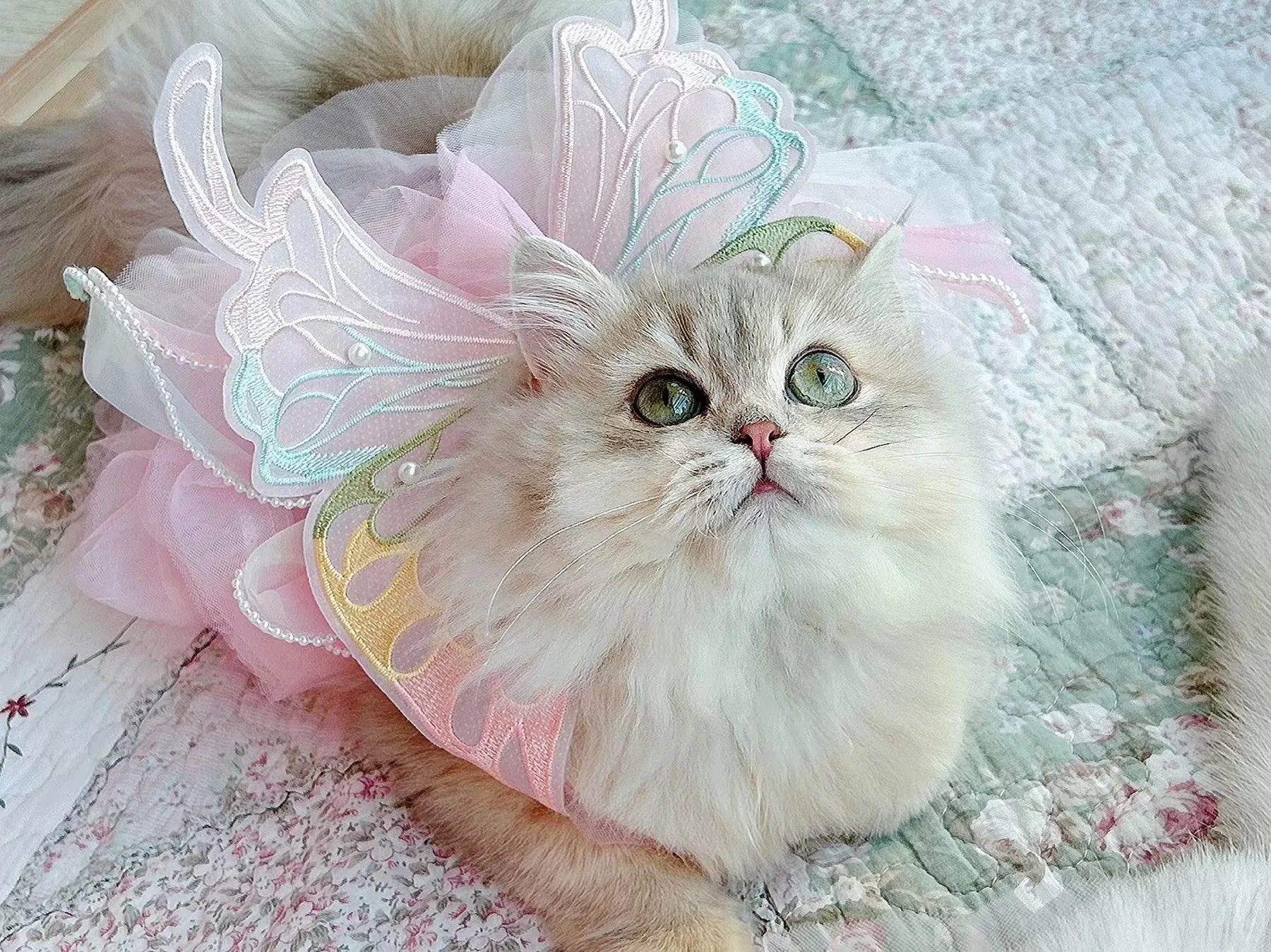 Princess Pet Dress